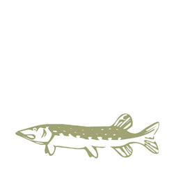 Green outline drawing of a pike fish from Jack Pyke for your outdoor adventure gear.