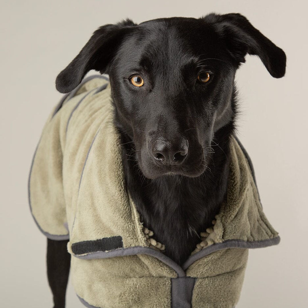 Scruffs Expedition Deluxe Drying Robe