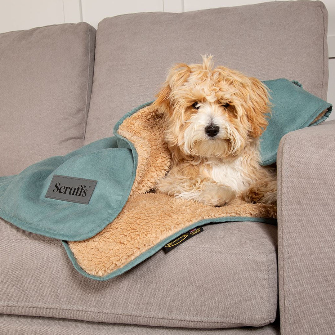 Scruffs Snuggle Blanket
