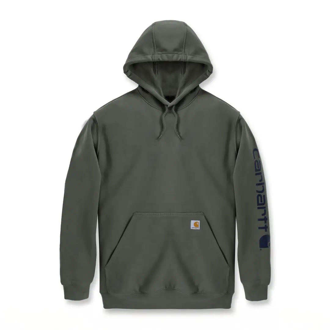 Carhartt Loose Fit Midweight Logo Sleeve Graphic – New