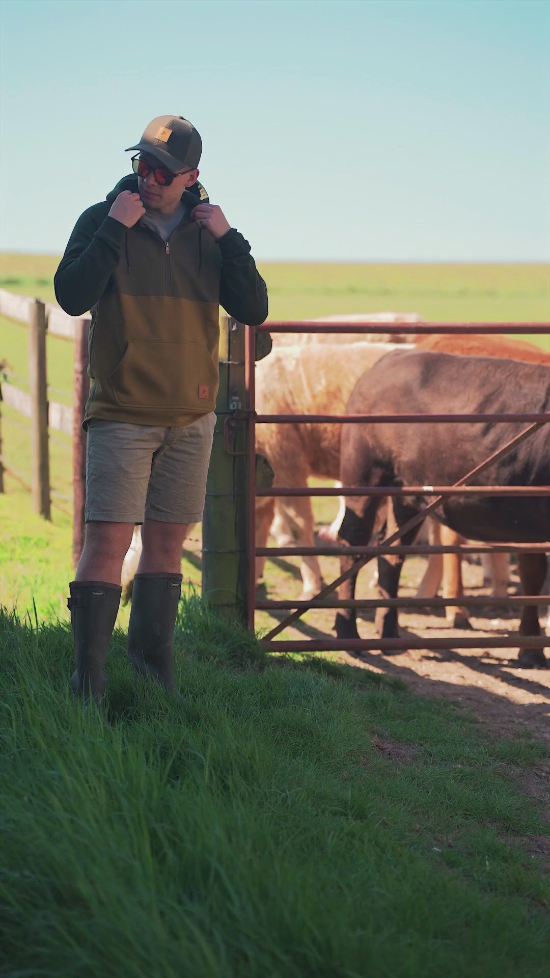 Load video: New Forest Raptor Hoodie