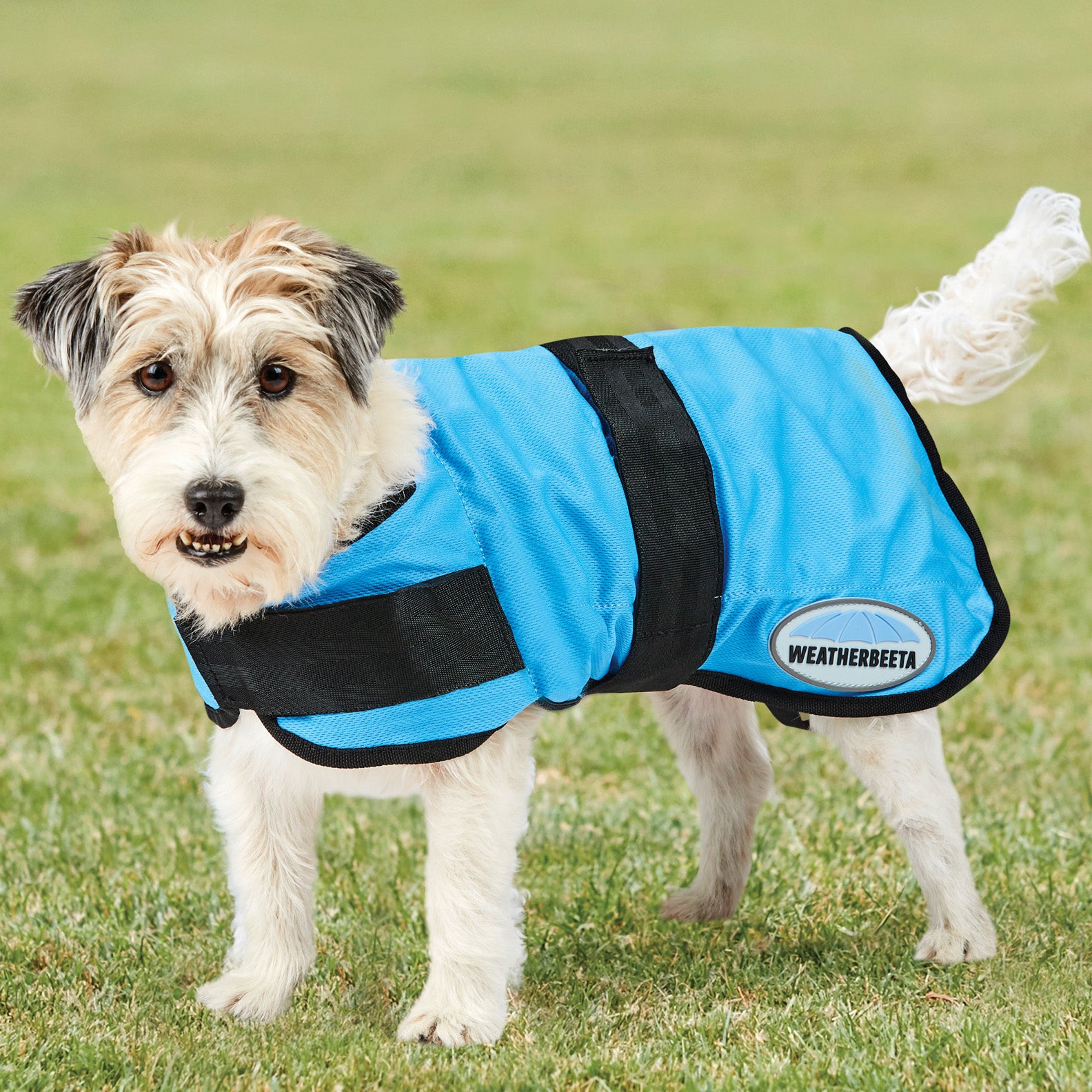 Weatherbeeta-Therapy-Tec-Cooling-Dog-Coat