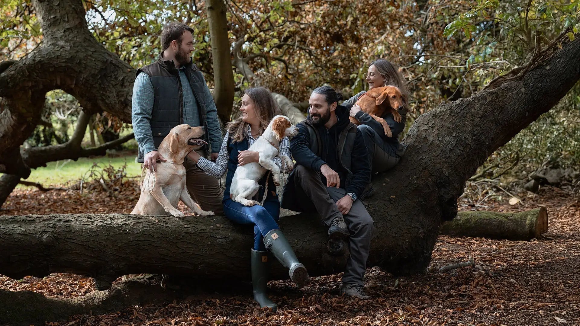 Five adults and four dogs enjoying nature on a fallen tree trunk in New Forest for country content