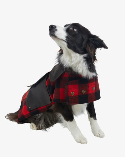 Swanndri Classic Wool Dog Coat