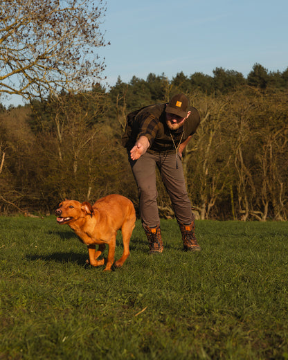 New Forest Dog Training Vest II