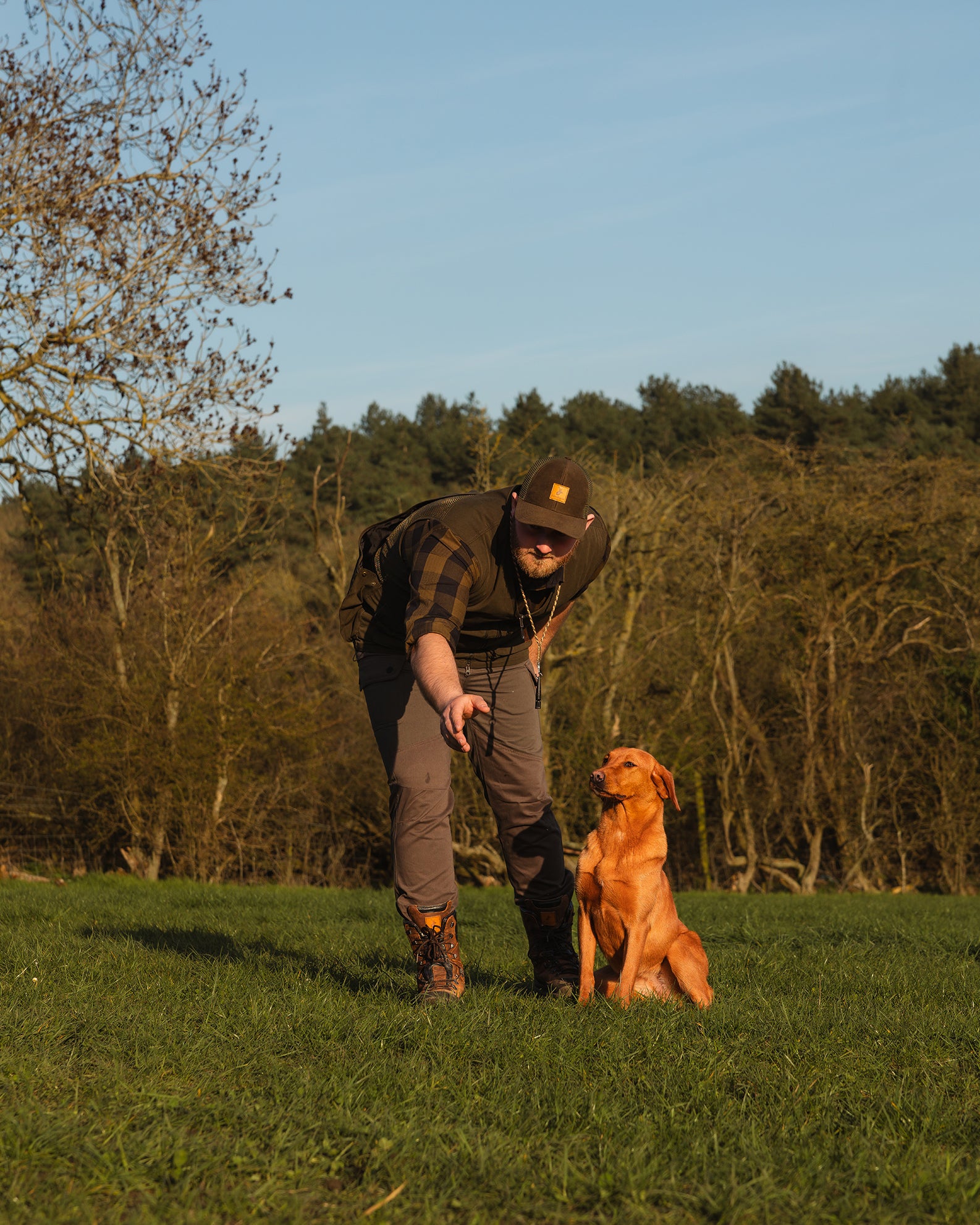 New Forest Dog Training Vest II