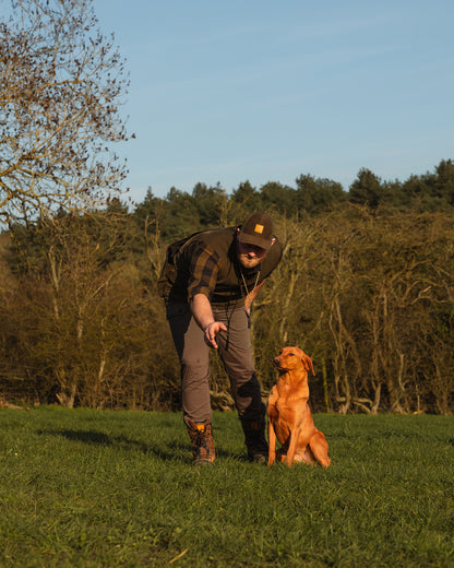 New Forest Dog Training Vest II