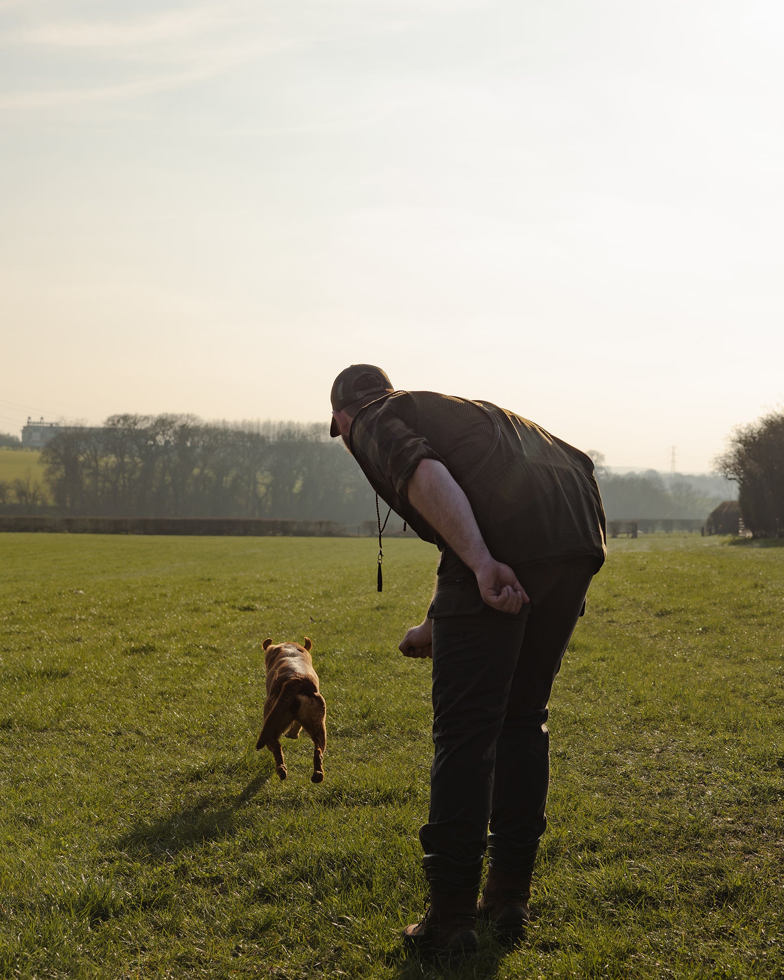 New Forest Dog Training Vest II
