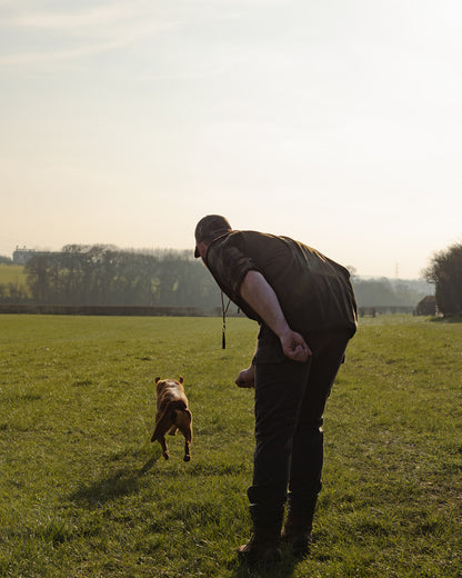 New Forest Dog Training Vest II