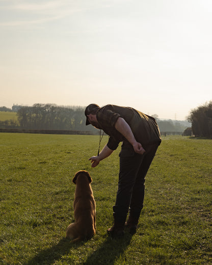 New Forest Dog Training Vest II
