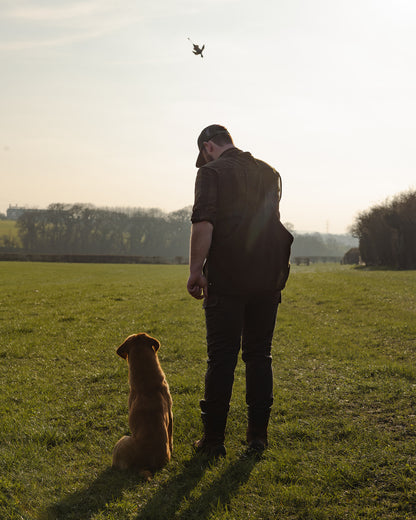 New Forest Dog Training Vest II