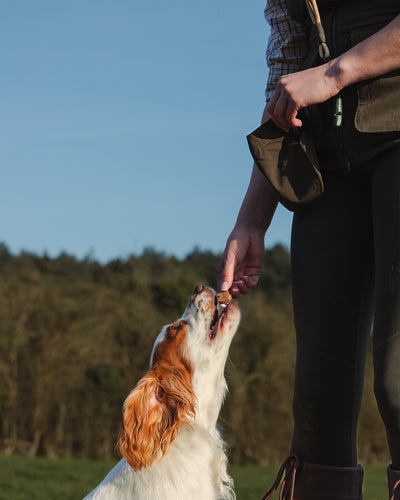 New Forest Ladies Dog Training Vest II
