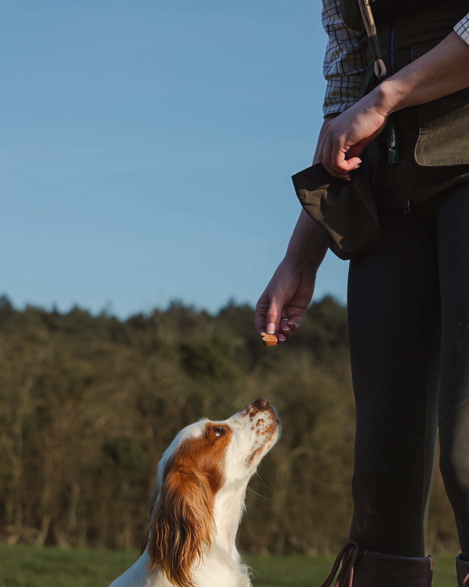 New Forest Ladies Dog Training Vest II