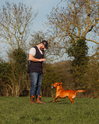 New Forest Dog Training Vest II
