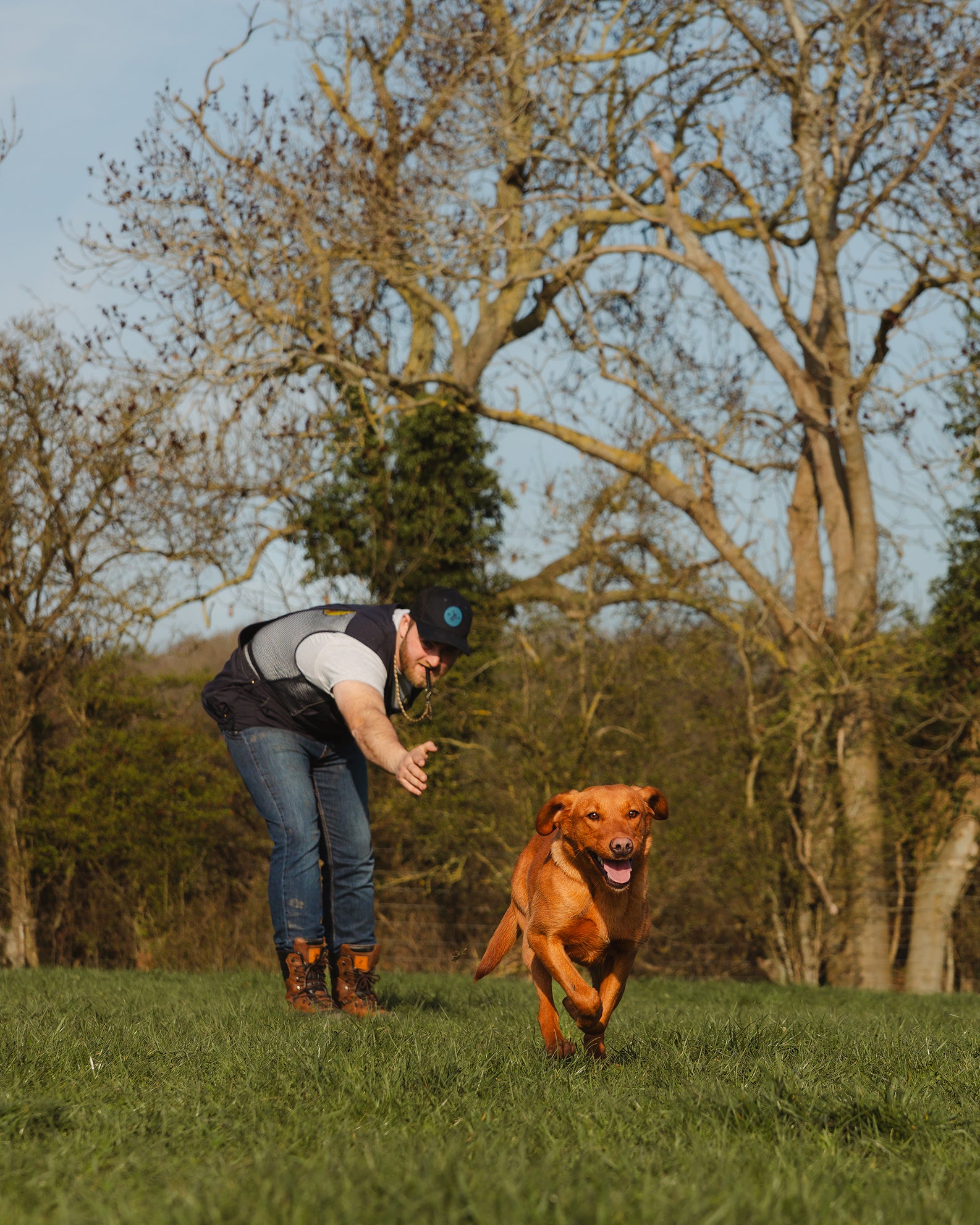 New Forest Dog Training Vest II