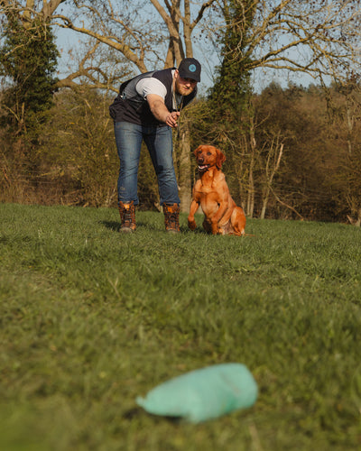 New Forest Dog Training Vest II
