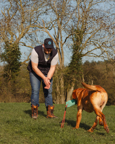New Forest Dog Training Vest II