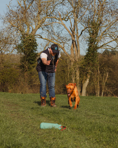 New Forest Dog Training Vest II