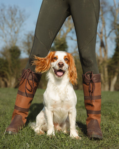 New Forest Ladies Trek Leggings