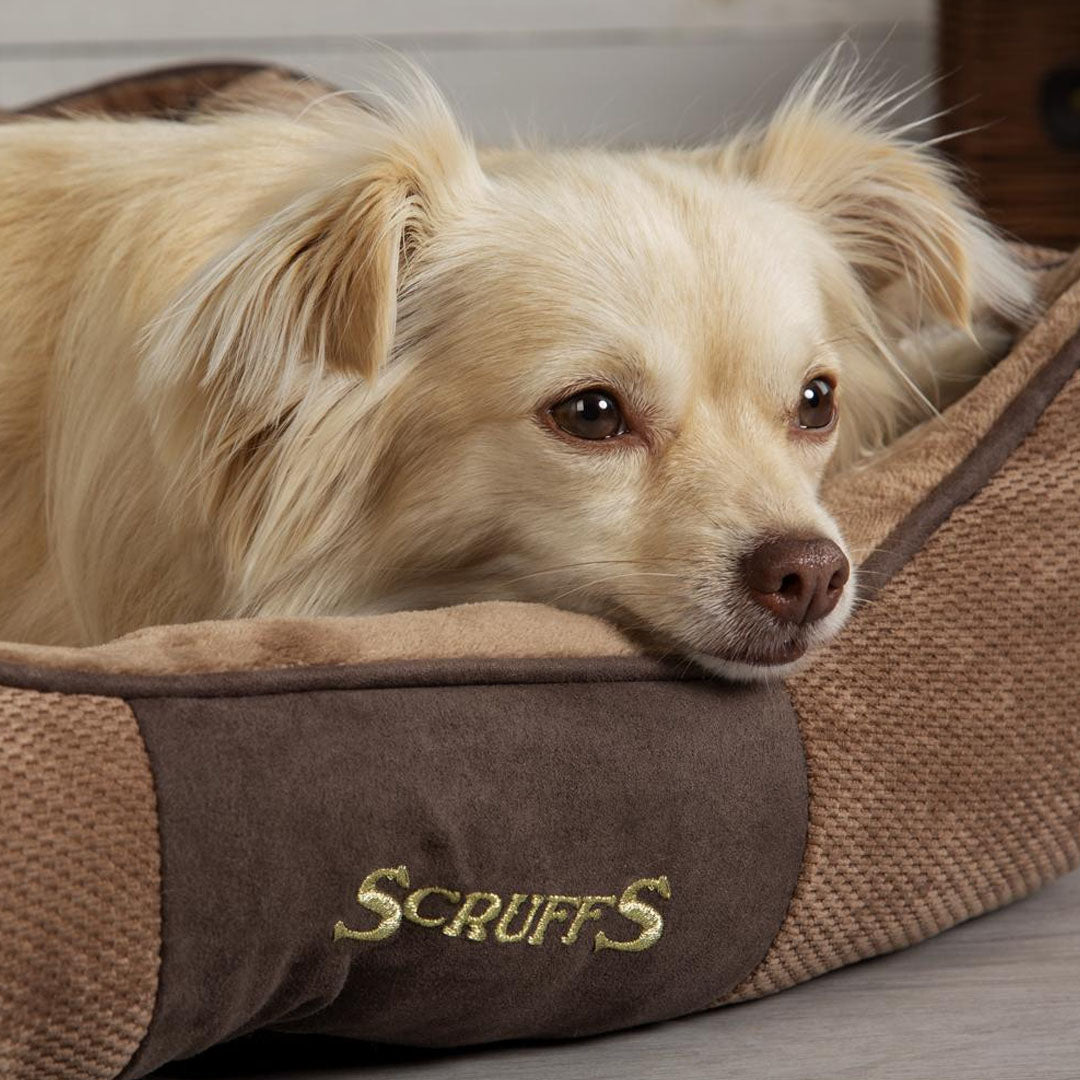 Scruffs Chester Box Bed