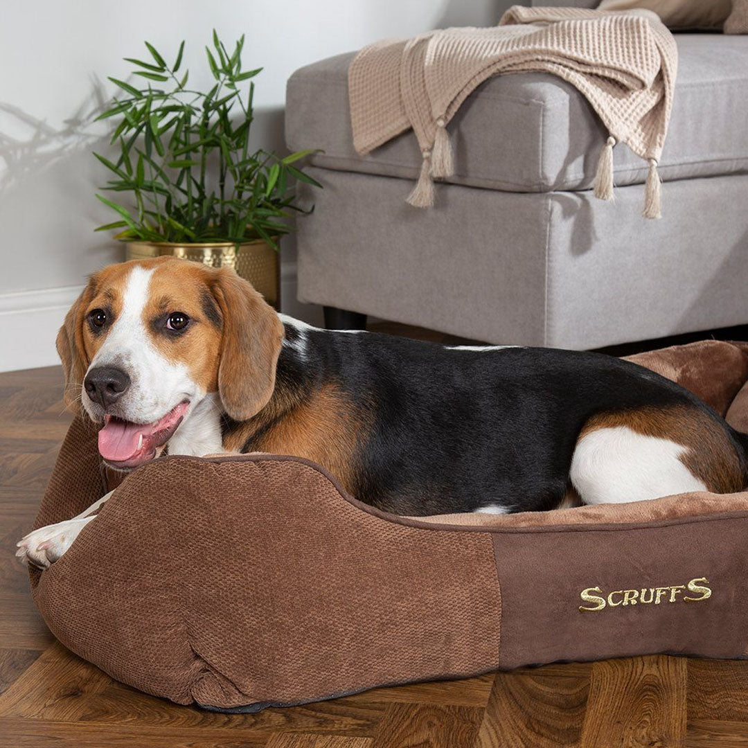 Scruffs Chester Box Bed