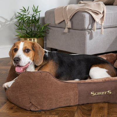 Scruffs Chester Box Bed
