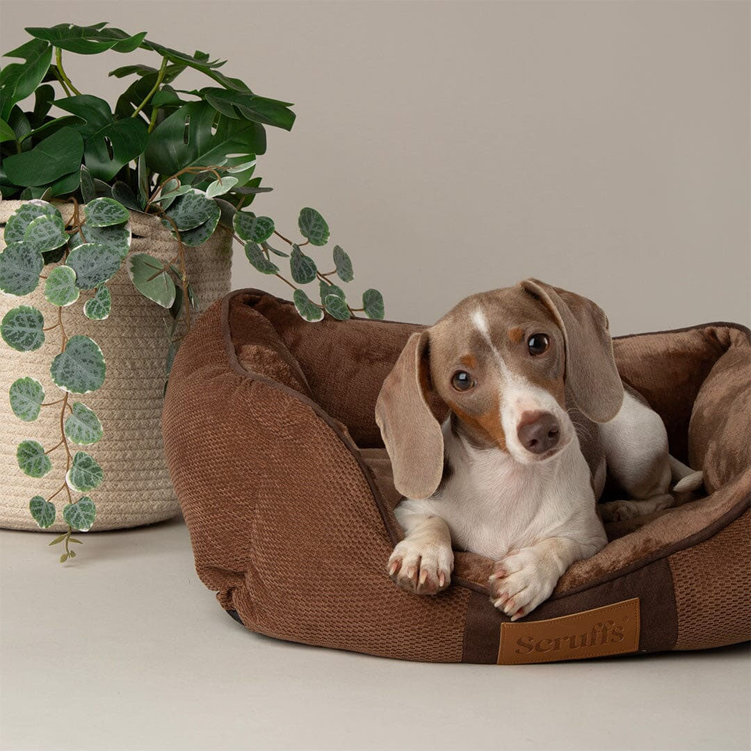 Scruffs Chester Box Bed
