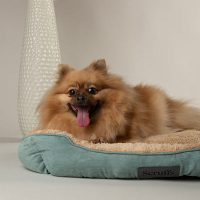 Scruffs Cosy Box Bed