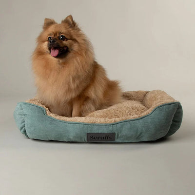Scruffs Cosy Box Bed