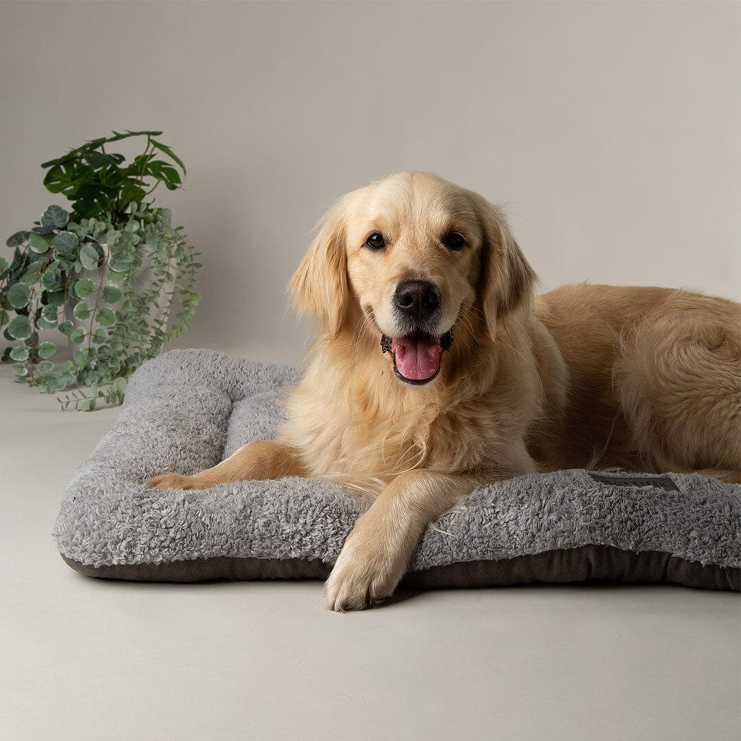 Scruffs Cosy Crate Mat