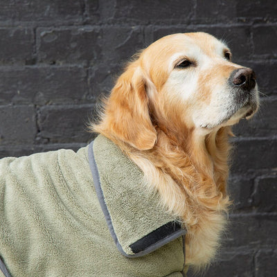 Scruffs Expedition Deluxe Drying Robe