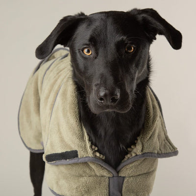 Scruffs Expedition Deluxe Drying Robe