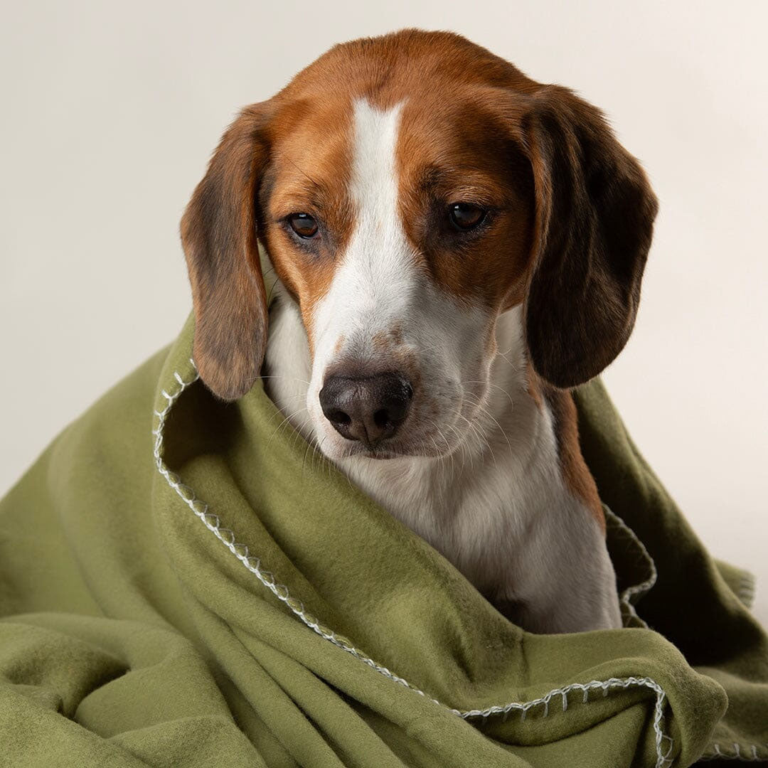 Scruffs Expedition Fleece Pet Blanket