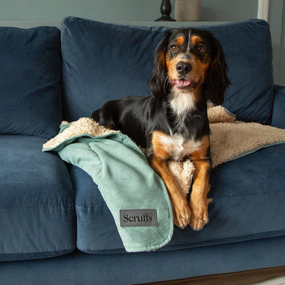Scruffs Snuggle Blanket