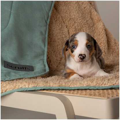 Scruffs Snuggle Blanket
