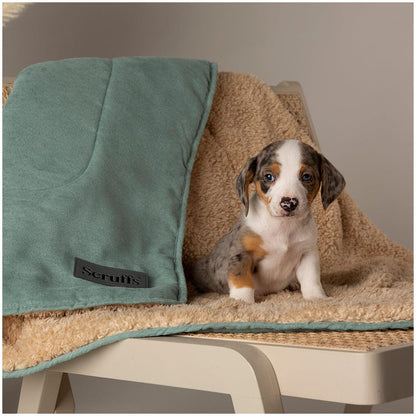Scruffs Snuggle Blanket