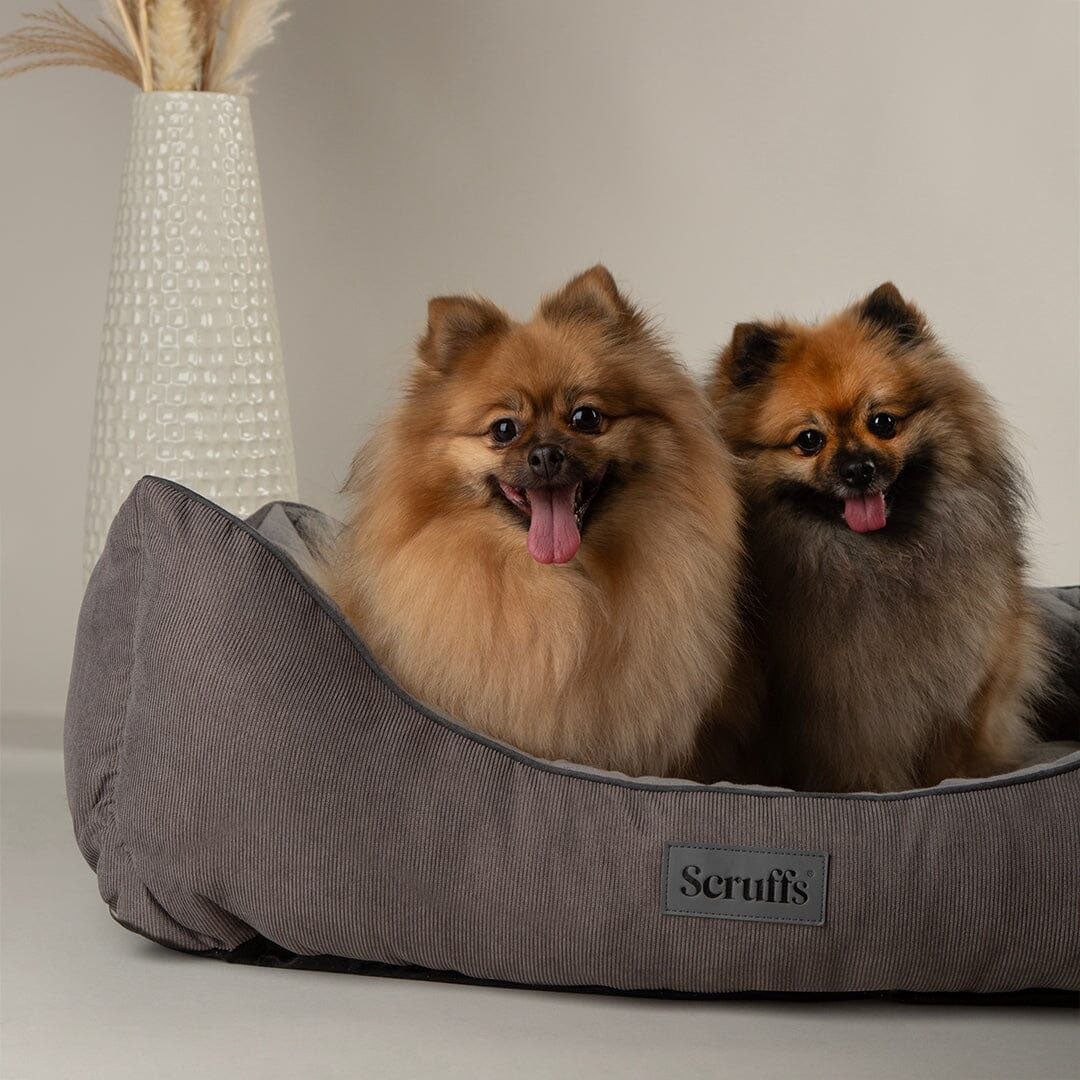 Scruffs Thermal Box Bed