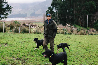 Man with three dogs wearing Bushbuck Defender Waterproof Jacket in a field for hunting or country clothing