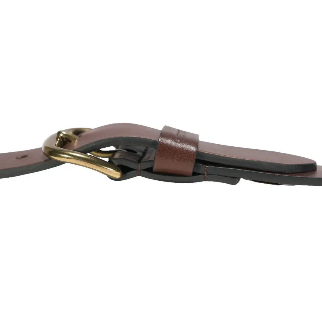 Carhartt classic leather buckle belt as brown dog leash with brass hardware