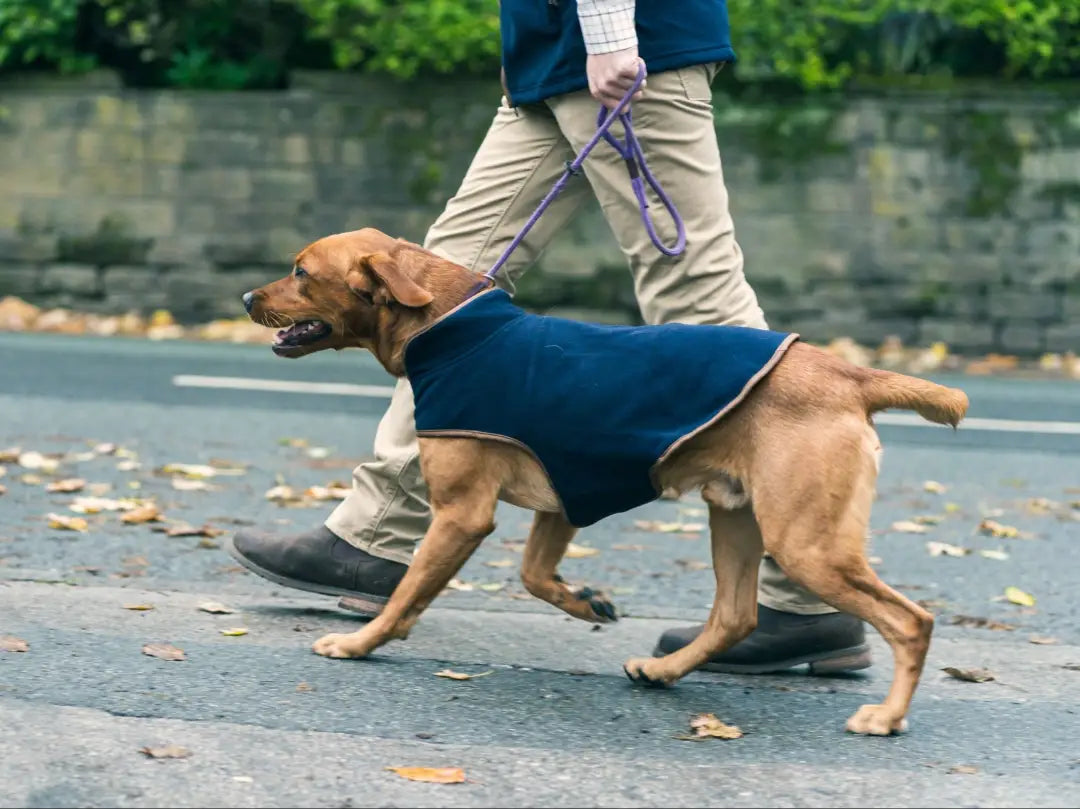 Jack Pyke Fleece Dog Coat – New Forest Clothing