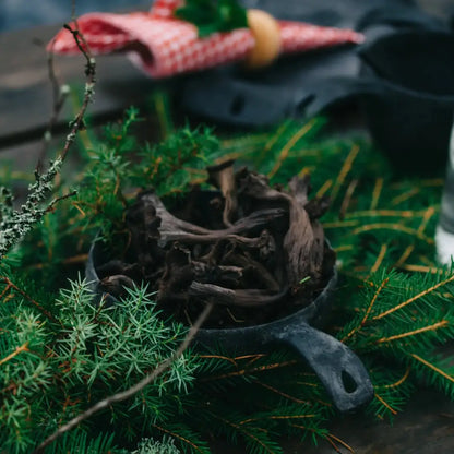 Black trumpet mushrooms in a cast iron skillet, perfect for country clothing adventures outdoors