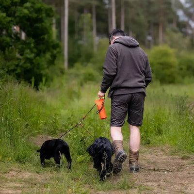 Man walking dogs wearing a Forest Heathland Hoodie in the scenic heathland area