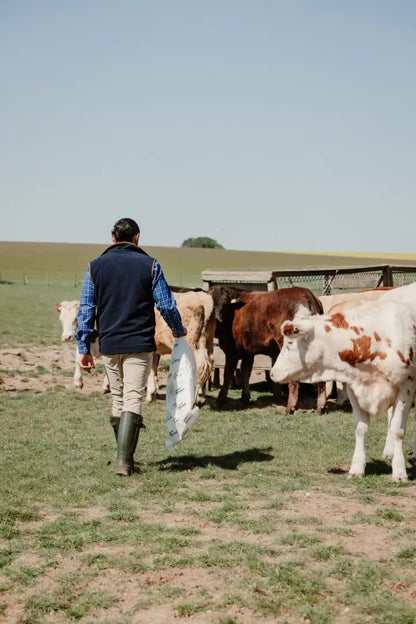 Farmer with feed approaching cattle in Forest Knightwood wearing New Forest Knightwood Gilet