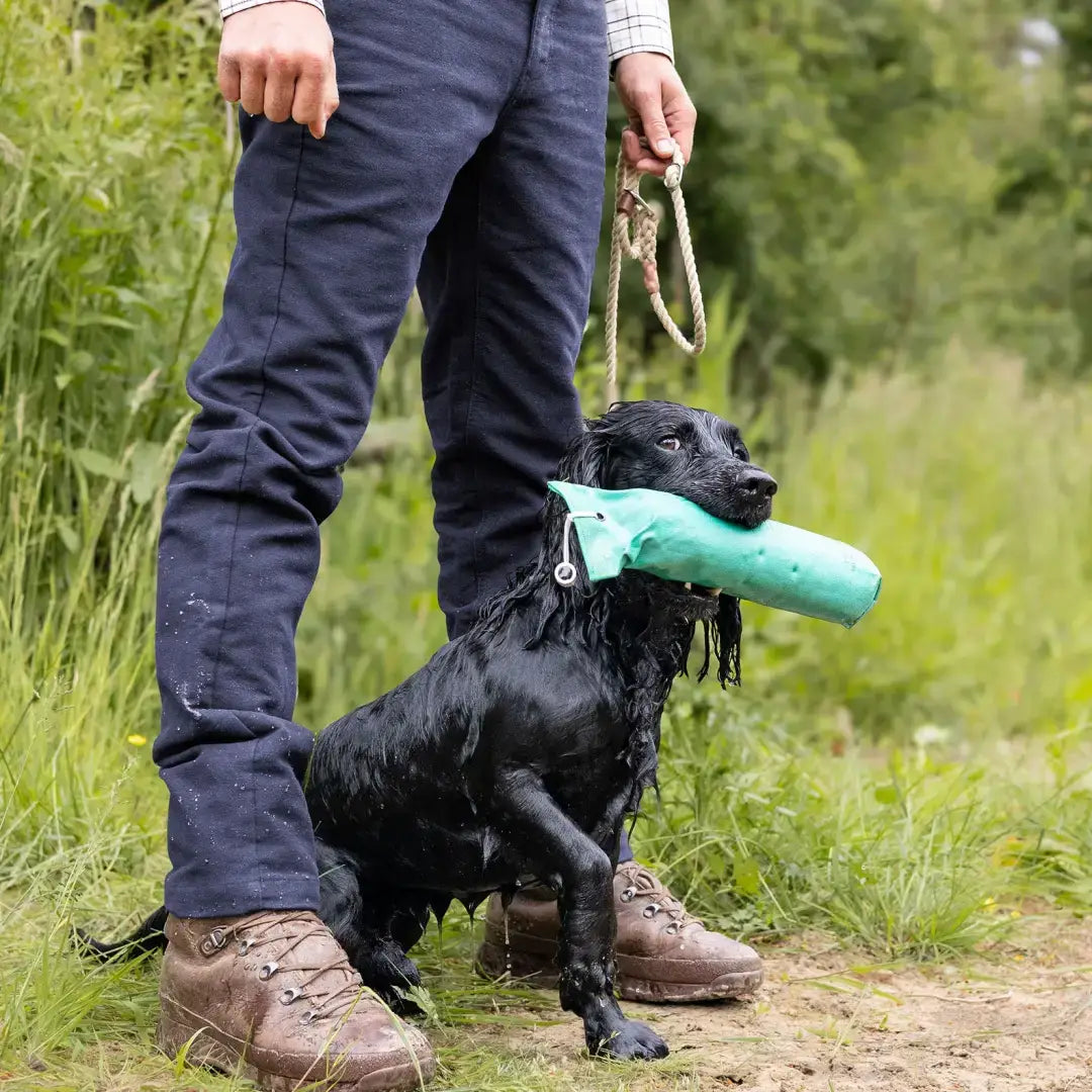 Black dog holding green dummy wearing New Forest Moleskin Jeans in forest moleskin style