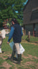 New Forest Premium Tattersall Shirt Bartley