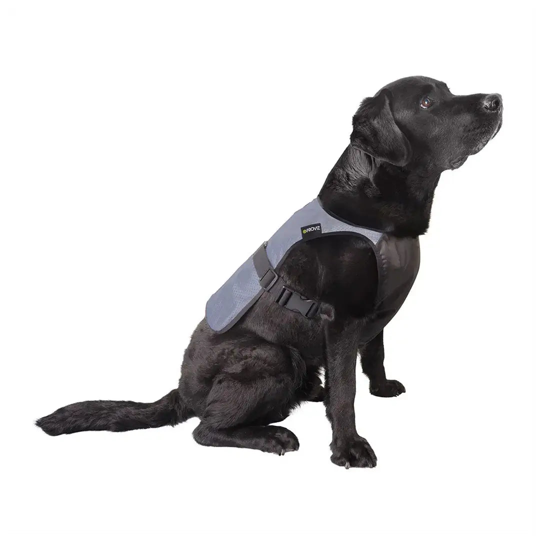 Proviz Explorer gray reflective dog vest with black straps and logo