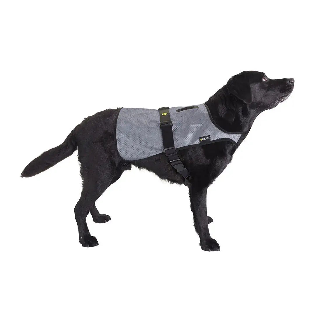 Proviz Explorer reflective dog vest in gray mesh with black straps