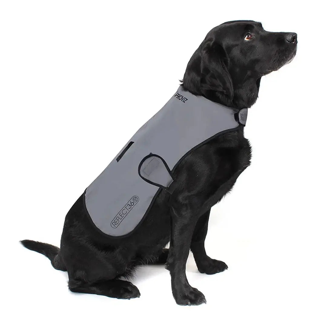 Gray Reflect360 waterproof dog jacket with reflective vest, black trim, front pocket logo