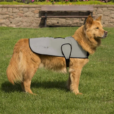 Gray Reflect 36 Proviz Reflect360 waterproof dog jacket with black trim