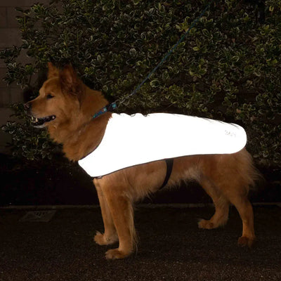 Proviz Reflect360 waterproof dog jacket with white reflective vest
